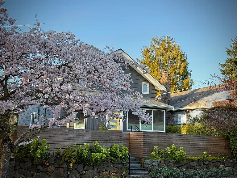 Street view of our home. Cherry blossoms!