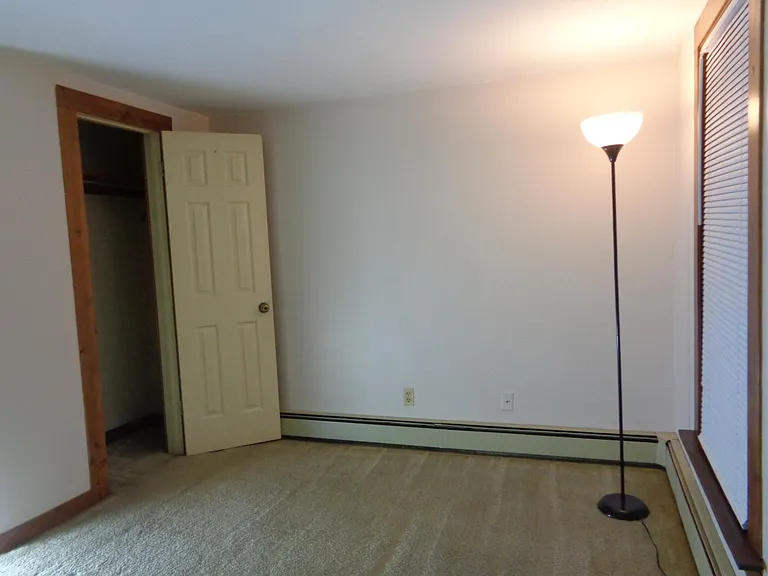 Bedroom and Closet