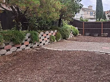 Backyard # 1