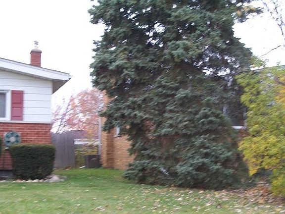 4th image of 32011 Thorncrest St