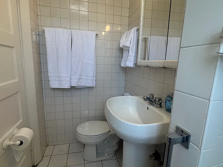 39 N Mountain Ave #5A — Photo 23