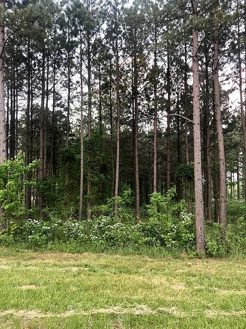 1st image of 0 River Bluffs Dr Lot 74