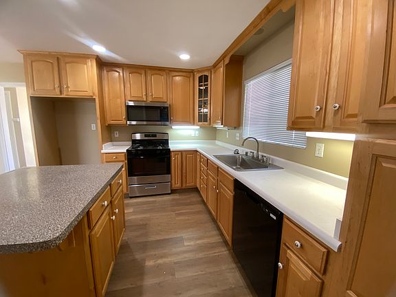 IMG_4918~photo_04042025