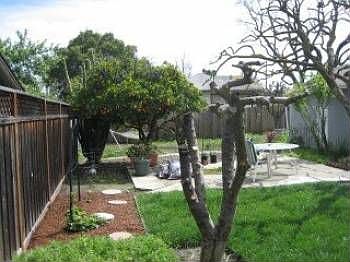 3rd image of 310 N Murphy Ave
