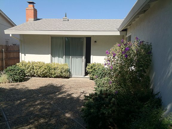 Back Patio Area