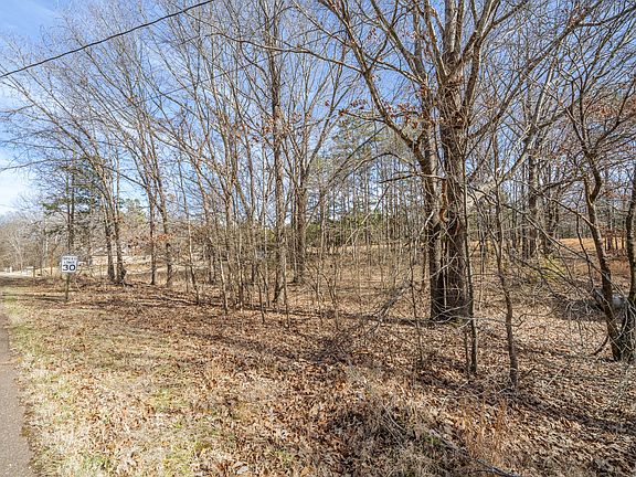 4th image of 0 Treadwell Prong Rd