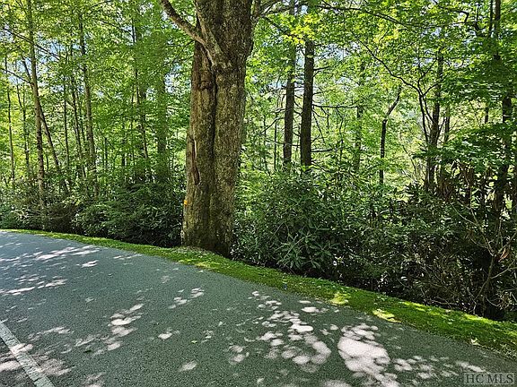 2nd image of Lot 7 W Falls