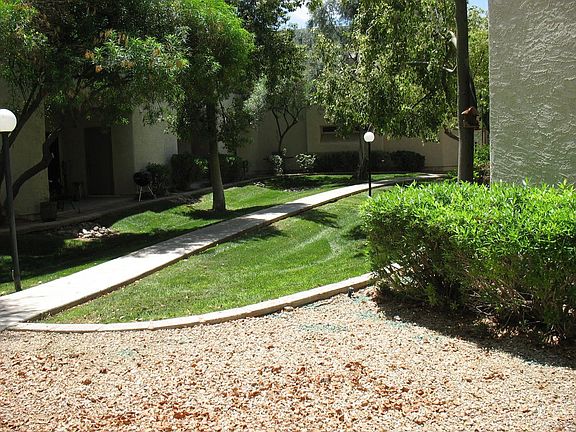 View from patio