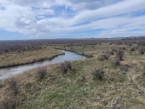 Cottonwood Rye Grass #23-117, Daniel, WY 83115