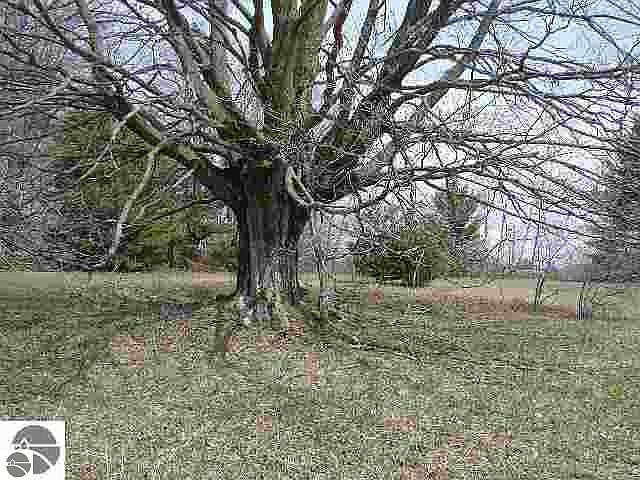 1st image of 0 Cedar Lake Rd