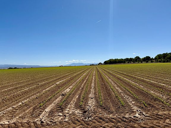 4th image of Tbd Townsend Rd