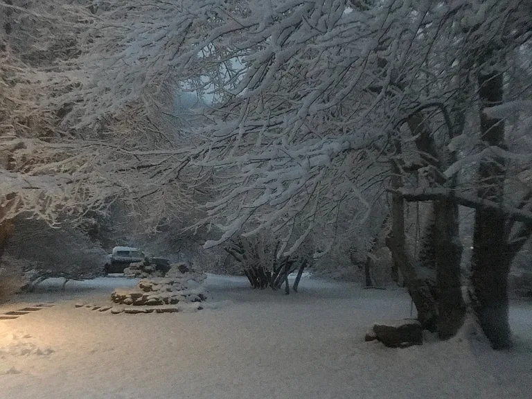 3207 Route 212 — Photo 26