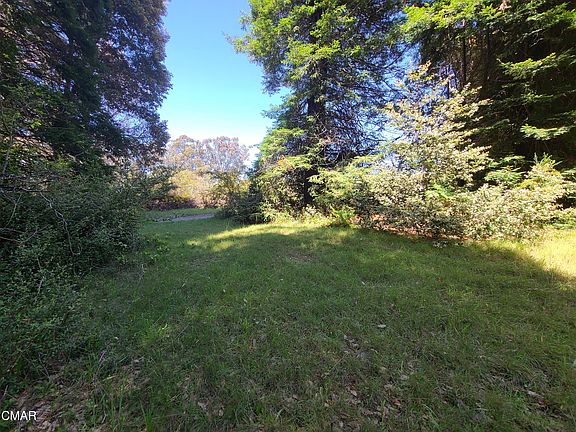4th image of 32921 Sutliff Ln