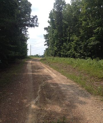 2nd image of 4113 Jennings Way
