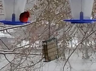 149 Cane Creek Rd, Farmerville, LA 71241