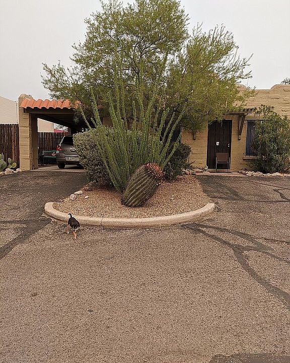 1st image of 4370 N Pocito Dr