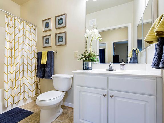 Large spa-like bathrooms