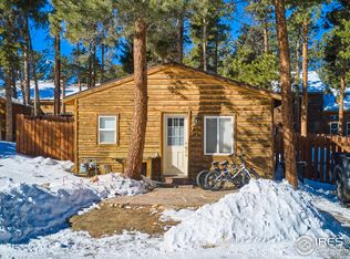 446 S Hendricks St, Nederland, CO 80466