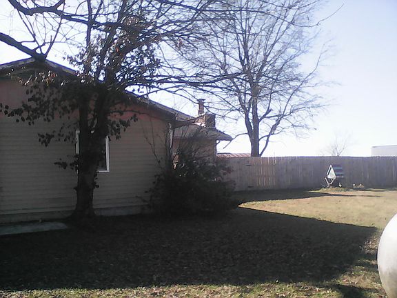 Back yard