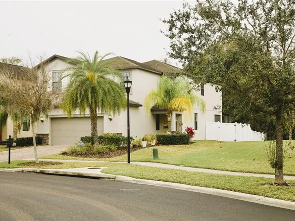 20050 Date Palm Way, Tampa, FL 33647