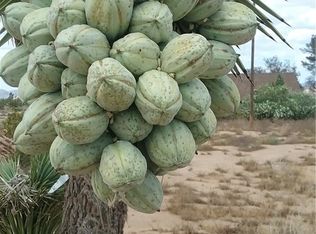 1390 Oasis Rd, Landers, CA 92285