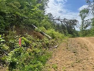 3rd image of 0 Parton Hollow Rd Lot 3