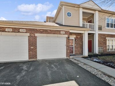 524 Pineridge Dr N #14, Oswego, IL, 60543