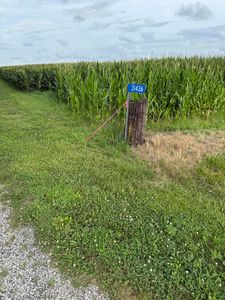 State Rte N, Miami, MO, 65344