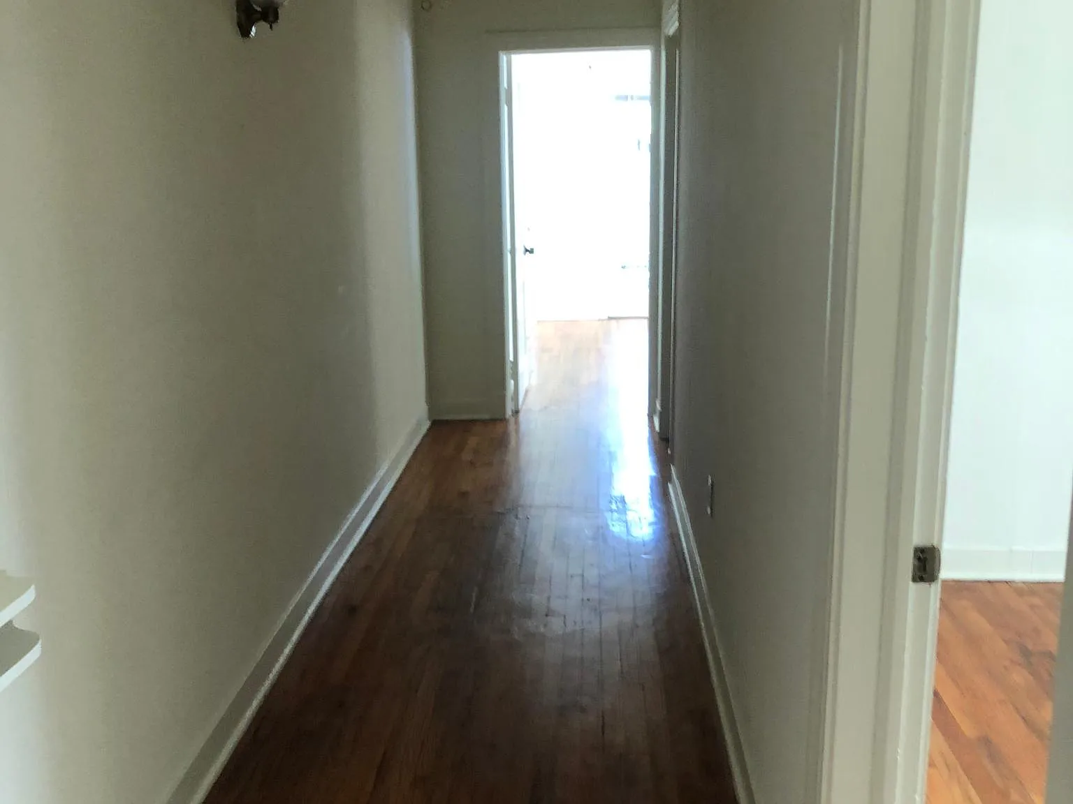 2 bed, 925 sqft, $1,600 — Photo 4