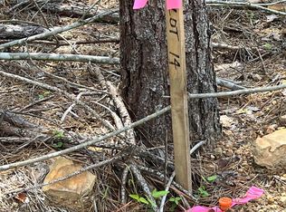 Xx Castle LOT 14, Glenwood, AR 71943