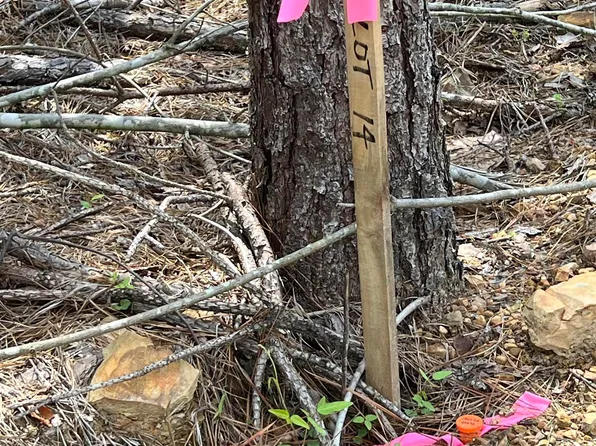 Xx Castle Lot 14, Glenwood, AR 71943