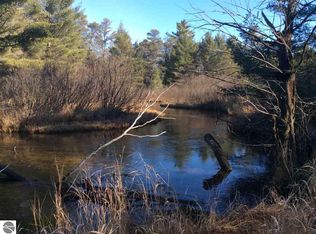 PARCEL Canary Ln #J, Fife Lake, MI 49633