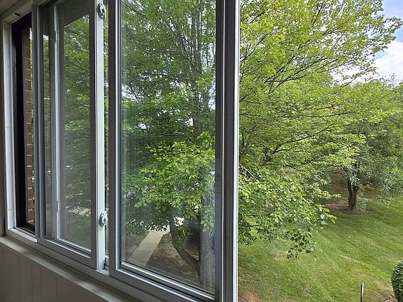 Morning Room Window View