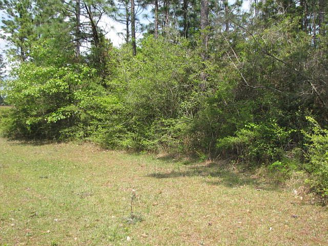 2nd image of 185 Lake David Dr