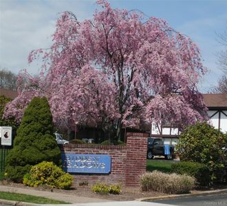 44 Bailey #44, Middle Island, NY, 11953