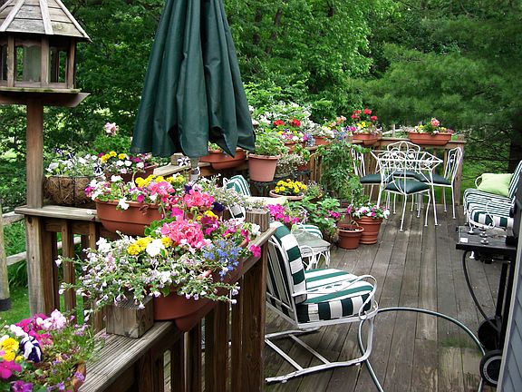 Spring Back Deck