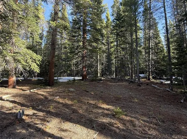 611 Silver Creek Road, Idaho Springs, CO 80452