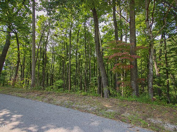 4th image of 19 Pine Top Ln