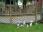 deck in yard