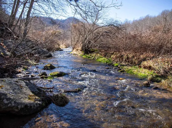 Davis Creek Ln, Lovingston, VA 22949