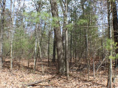 Kristen Dr LOT 51, Lewiston, MI, 49756