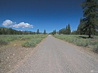 102 Horizon Flats Rd, Winthrop, WA 98862