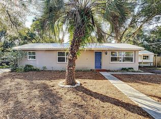 447 Palm Ave, Lake Helen, FL 32744