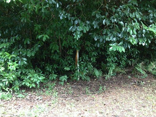 2nd image of 6213 Kahiliholo Rd #5