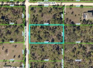 18118 Palmdale Rd, Brooksville, FL 34614
