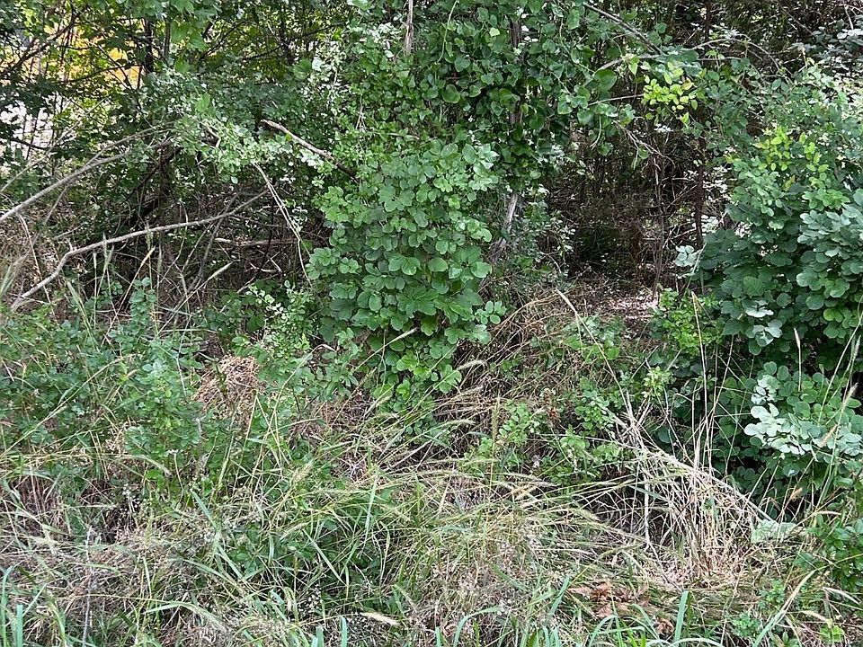1st image of 1119 Boot Trail Ct