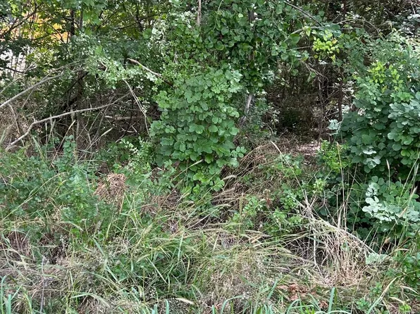 1119 Boot Trail Ct, Granbury, TX 76048