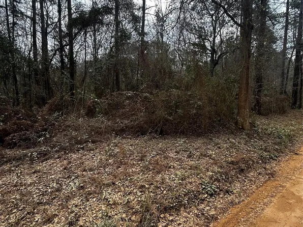 0 County Line Rd, Shepherd, TX 77371