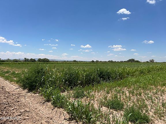 5th image of 37322 State Highway 20