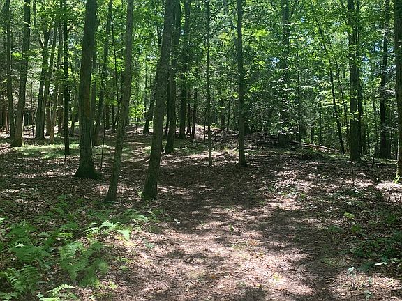 2nd image of Lot 1 West Chalybes Road